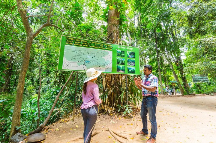 Forest Walk and Birding Tour to Udawatte Kele, Kandy from Negombo - Photo 1 of 16